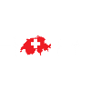 Swiss Heartbeat