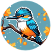 Kingfisher Bird Drawing
