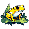 Poison Dart Frog Frog Drawing