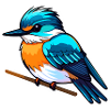 Kingfisher Bird Drawing