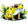 Poison Dart grenouille grenouille dessin