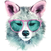 Raccoon with sunglasses