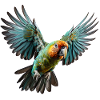 Parrot approaching for landing