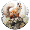 Squirrels are social animals
