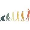 Evolution basketball