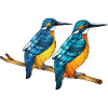 Bunte Vögel