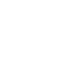 Chien blanc