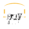 Landwirt Milchbauer Kuhbauer Kuhliebhaber