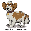 King Charles III Spaniel
