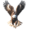 Eagle