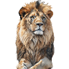 Löwe