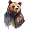 Bär