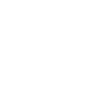 001 Ying Yang Panther