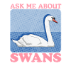 Swans Swans Swan Lover Gift