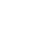 Evolution ski