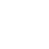 Bird white
