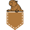 Funny Capybara In Pocket