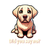 Cute Labrador Retriever
