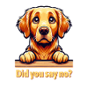 Cute Golden Retriever