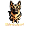 German Shepherd