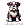 Cute Bulldog