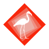 Flamingos Flamingo Flamingo