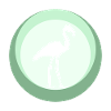 Flamenco Flamingo Water Bird