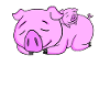 Pig Family - Cochon avec bébé