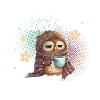 Owl You Need Is Coffee