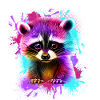 Raccoon