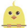 Yellow canary