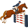cheval, cavalier, équitation