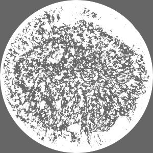 Kreis | Kunst | Mond | True Moon Love