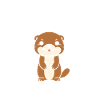 Humour petite loutre