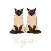 Siamese cat