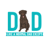 Chien Labrador Retriever chocolat