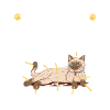Siamese