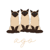 Siamese