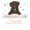 Chien Labrador Retriever chocolat