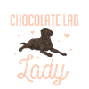 Chocolate Labrador Retriever Dog