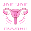 Endometriosis Gynecological Surgery Recovery