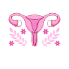Endometriosis Women's Health Gynecological