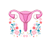 Gynecological Surgery Endometriosis