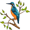 Bunter Vogel