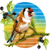 Bunter Vogel