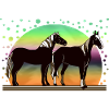 Chevaux