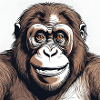 Orangutan Monkey