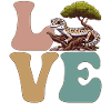 Leopard Gecko Lizard Reptile