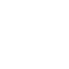 Squelette blanc en skateboard