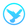 Flying Flying Birds